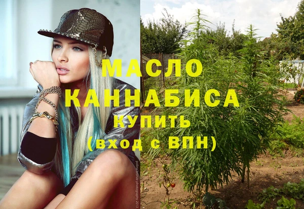 сатива Коряжма