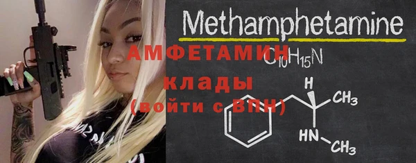 сатива Коряжма