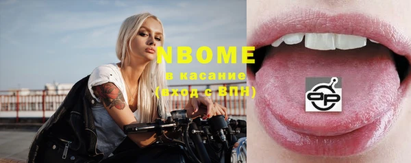 сатива Коряжма