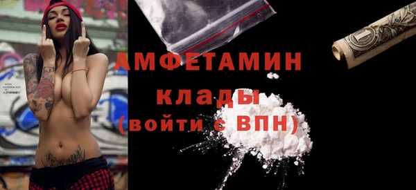 сатива Коряжма