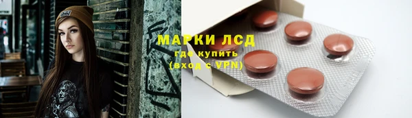 сатива Коряжма