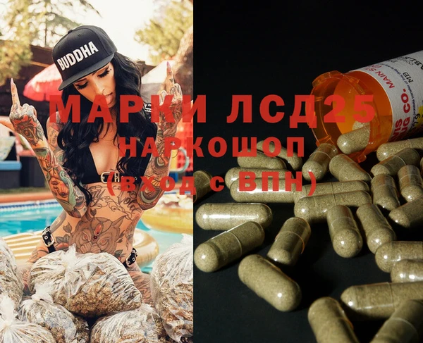 сатива Коряжма