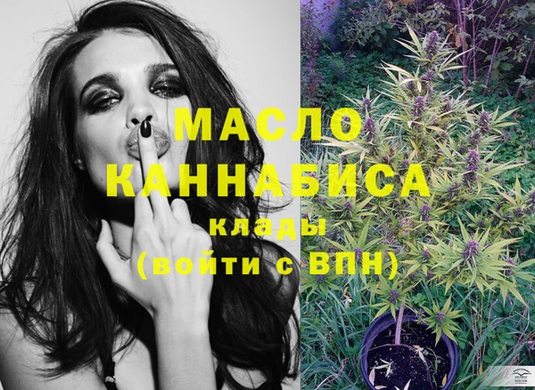 сатива Коряжма