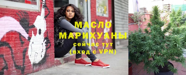 сатива Коряжма