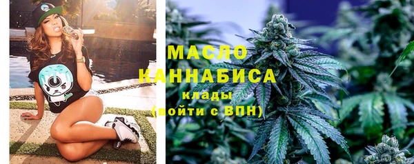 сатива Коряжма