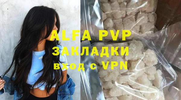 сатива Коряжма