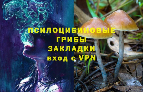 кокс Корсаков