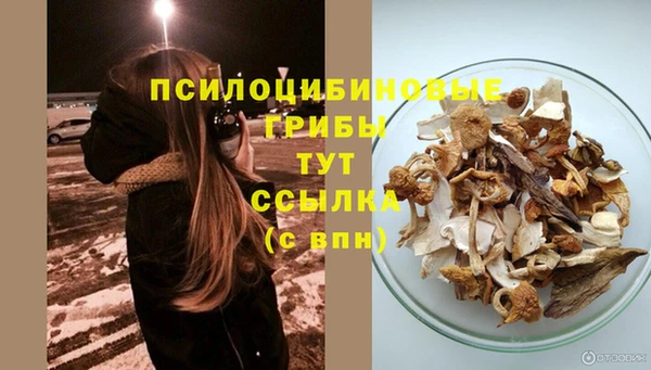 mix Костерёво