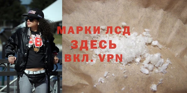 сатива Коряжма