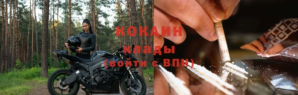 кокс Корсаков