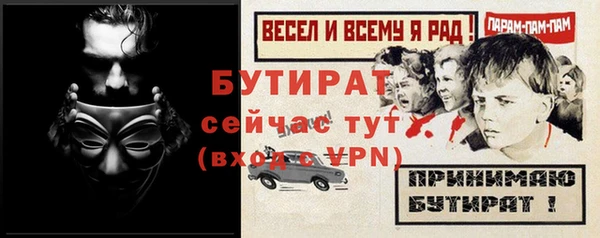 сатива Коряжма